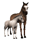 poulain